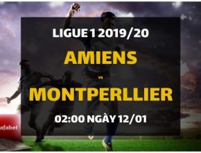 Amiens - HSC Montperllier (02h00 ngày 12/01)
